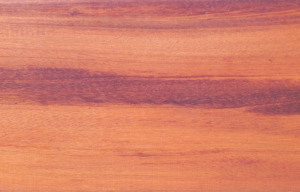 Wood grain 